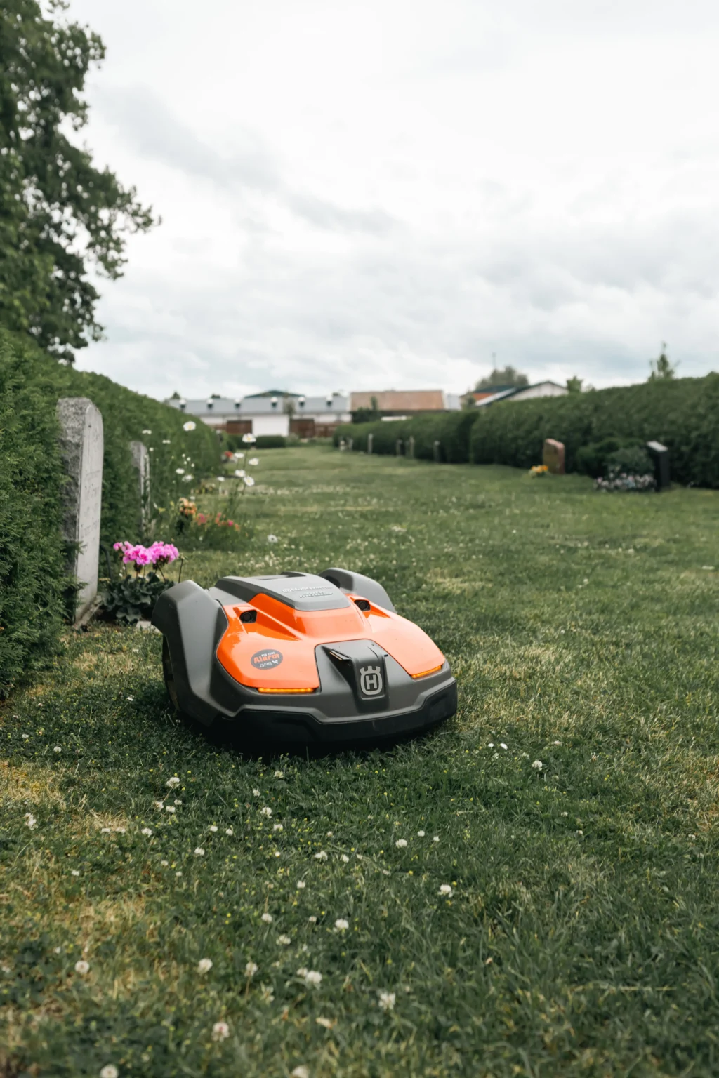 En orange robotgräsklippare kör på en välskött gräsmatta som kantas av häckar, med några gravstenar och blommor synliga i bakgrunden under en molnig himmel.